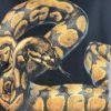T-shirt marque HABITAT, motif python