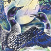 T-shirt HABITAT, motif canards, détails